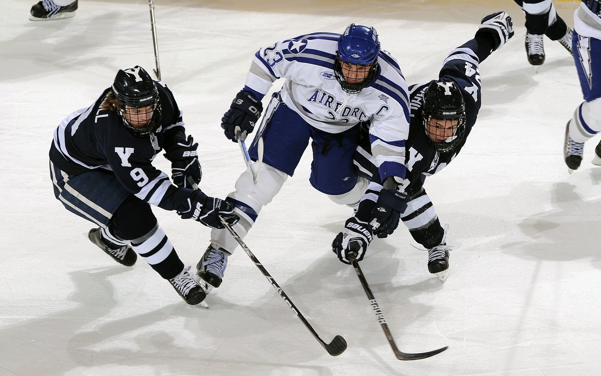 2024北京国际马拉松赛圆满落幕,埃塞俄比亚选手包揽男女组冠军